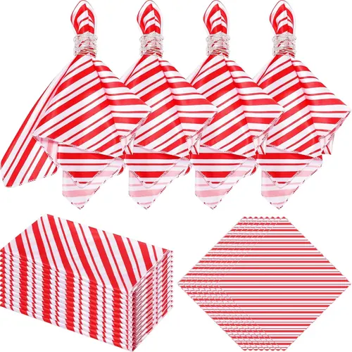 Ziliny 24 Pcs Christmas Cloth Napkins 18 x 18
