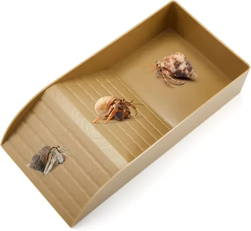 Ziliny Hermit Crab Water Tank with Climbing Ramp Large