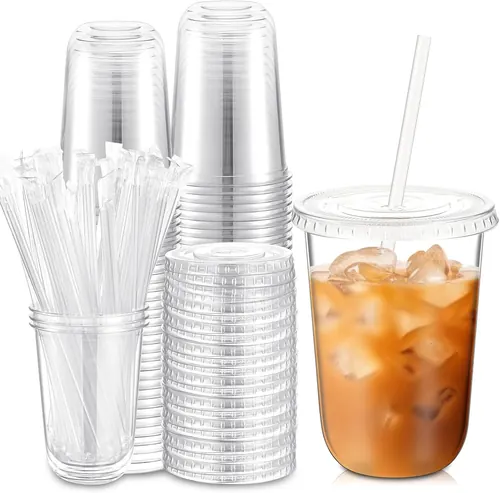 Ziliny 50 Sets 16 oz Clear Plastic Cups with Lids and Straws