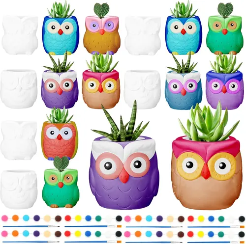 Ziliny 18 Pcs Ceramics to Paint Owl Succulent